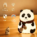 panda4.webp